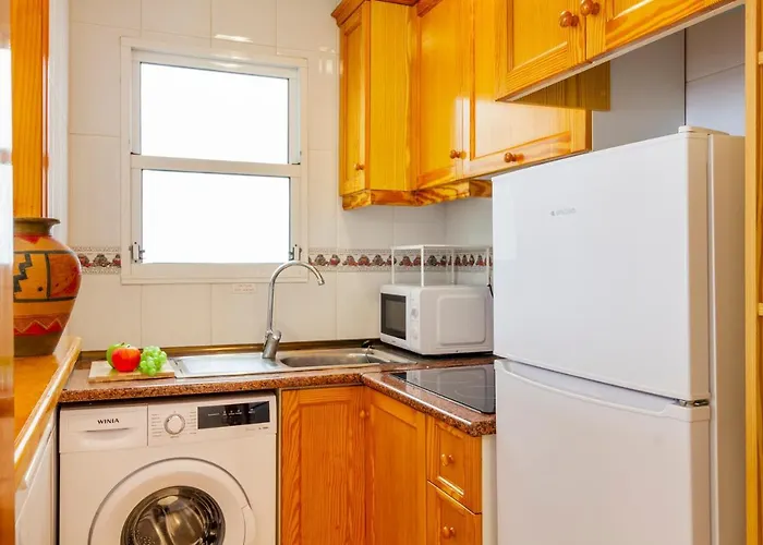 公寓 Pink Sunshine 托雷维耶哈